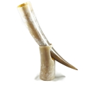 natural shoe horn
